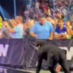 Injured Tony Khan Seen Awkwardly Escaping Scene at Double or Nothing