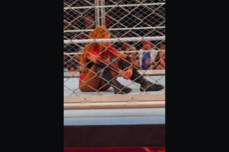 "Becky Lynch Gets Standing Ovation Post Loss on WWE RAW"