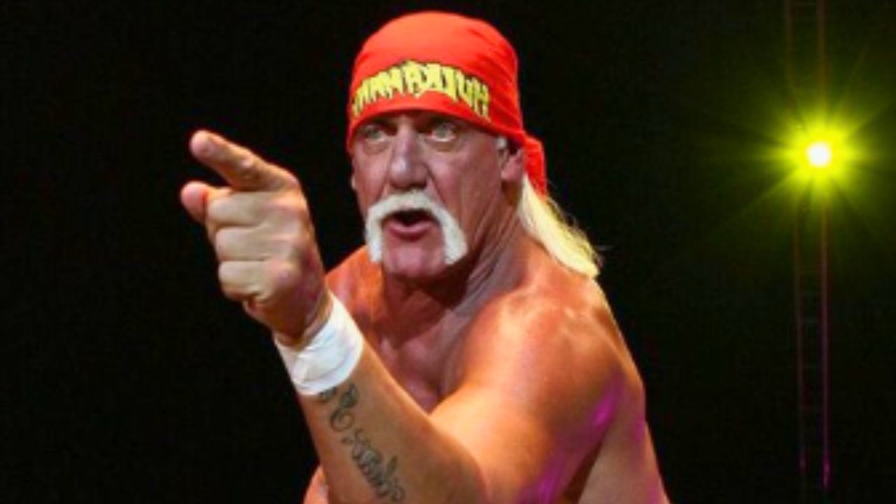 hulk hogan