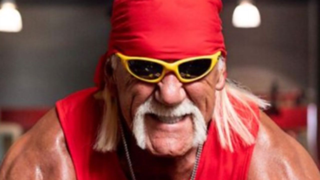 hulk hogan