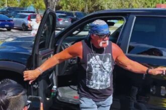 Hulk Hogan Removes Controversial Tweets Targeting Iggy Azalea