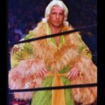 Ric Flair's Ring-Worn Robe Sells for Astronomical Sum After AEW Exit